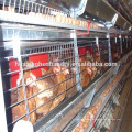 Hot H Rahmen Broiler Hühnerkäfig für Verkauf / Schicht Hühnerkäfige / Draht Mesh Hühnerkäfig